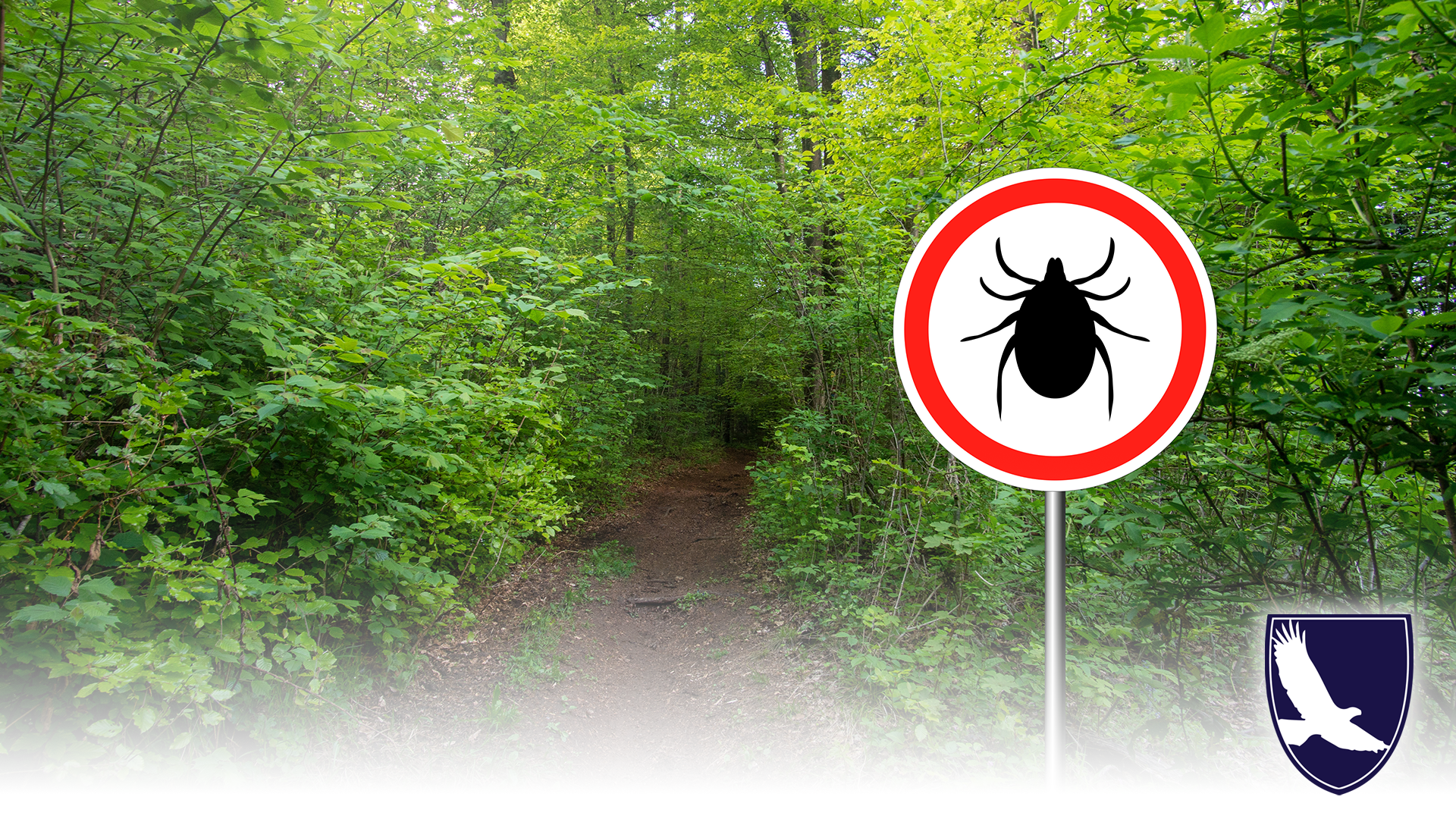 CAN I GET SOCIAL SECURITY DISABILITY FOR LYME DISEASE